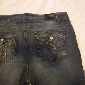 Vintage Paris Blues Size 19 Embellished Pockets